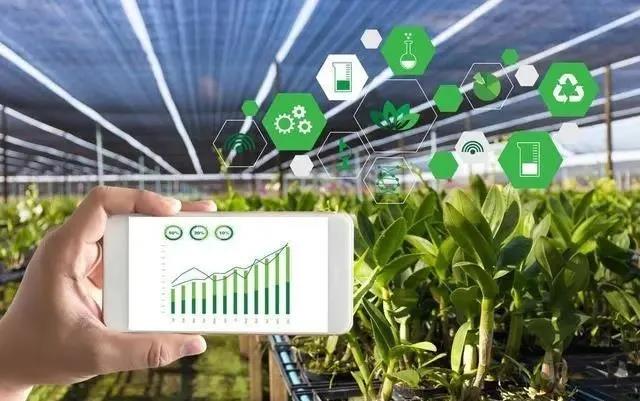 探索中国粮油饲料信息网，数字时代的农业信息枢纽