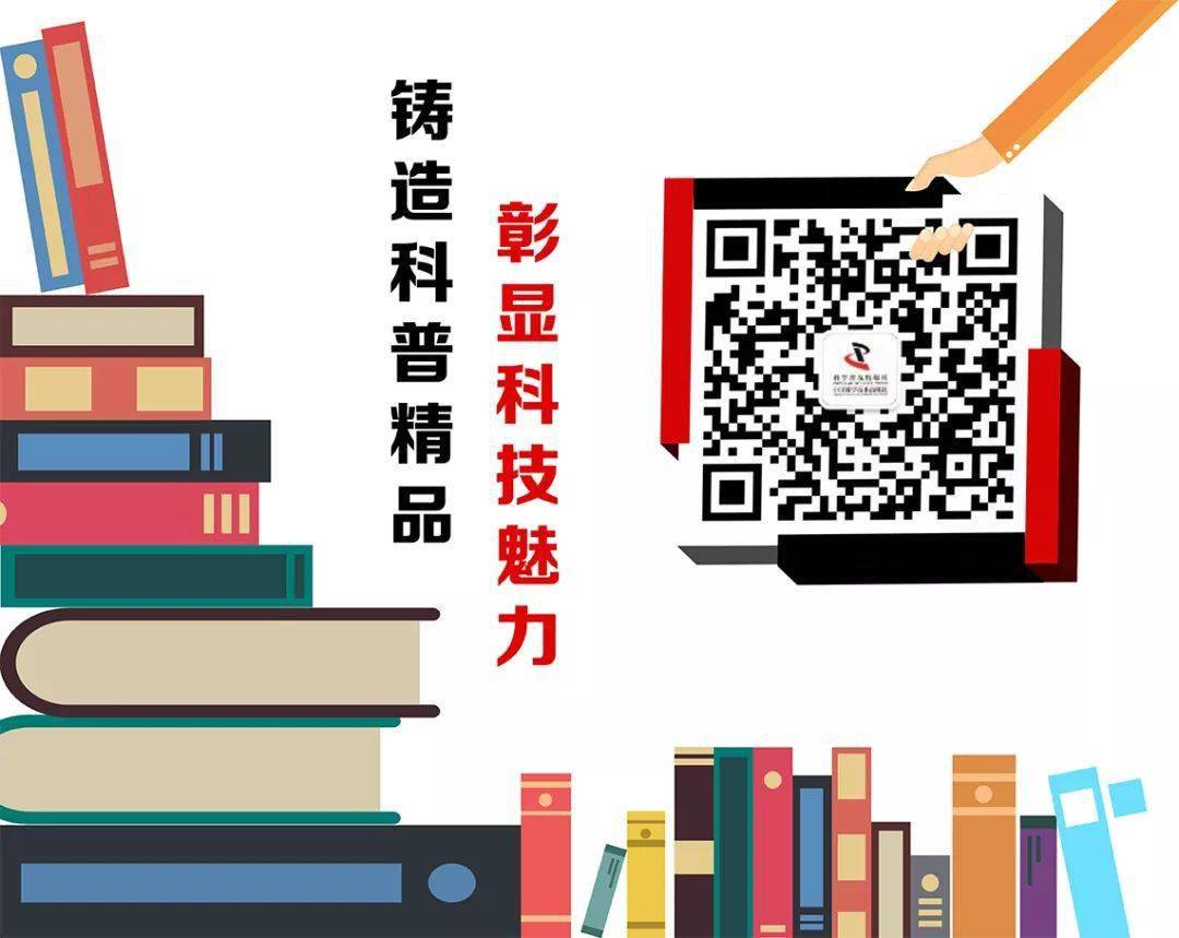 探索中国彩吧图谜图库的奥秘与魅力