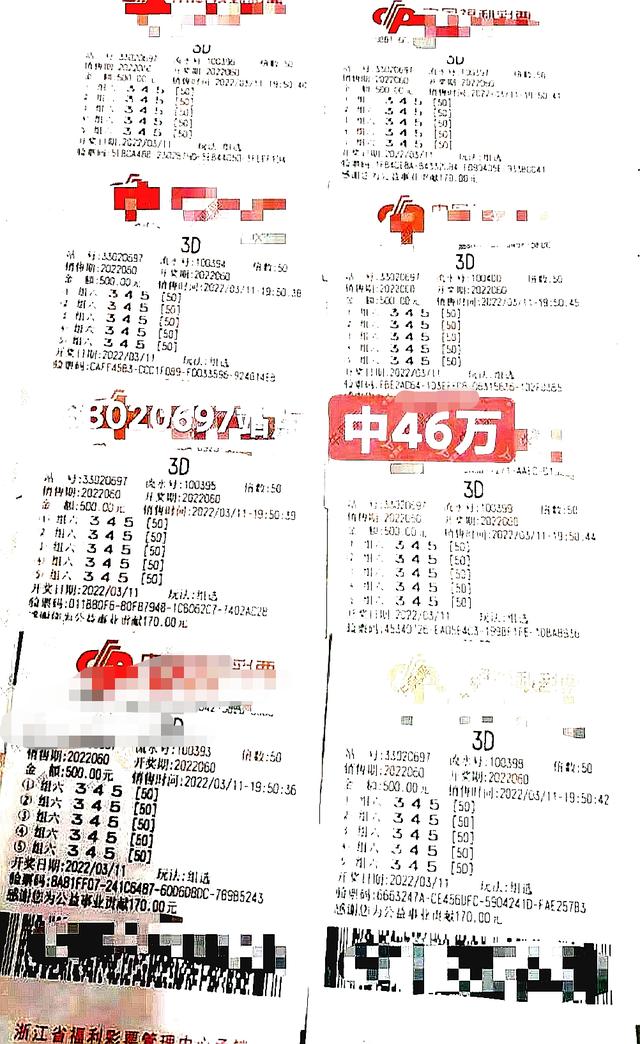 直播福彩3d开奖现场，透明、公正与公众参与的现代彩票文化