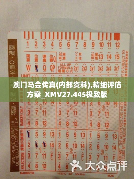 深度解析与使用指南