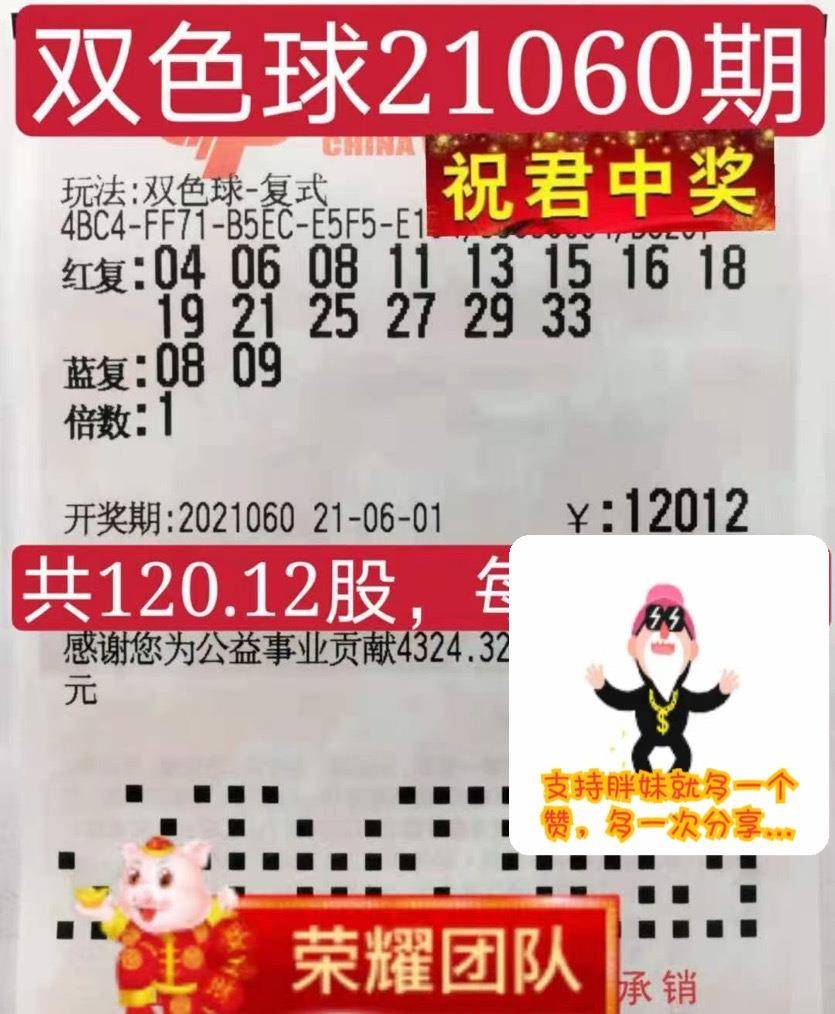 探索双色球14115，数字背后的幸运与智慧