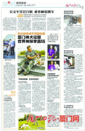 今日福彩丹东全图迷，揭秘背后的故事与挑战