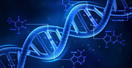 今晚3D和值精确预测，科学理性与概率论的较量