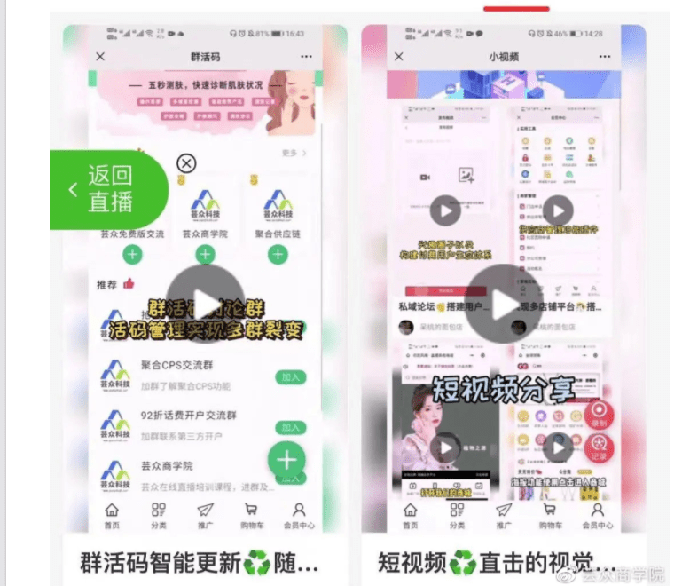 探索双色球开奖直播的奥秘，揭秘最佳观看时机与策略