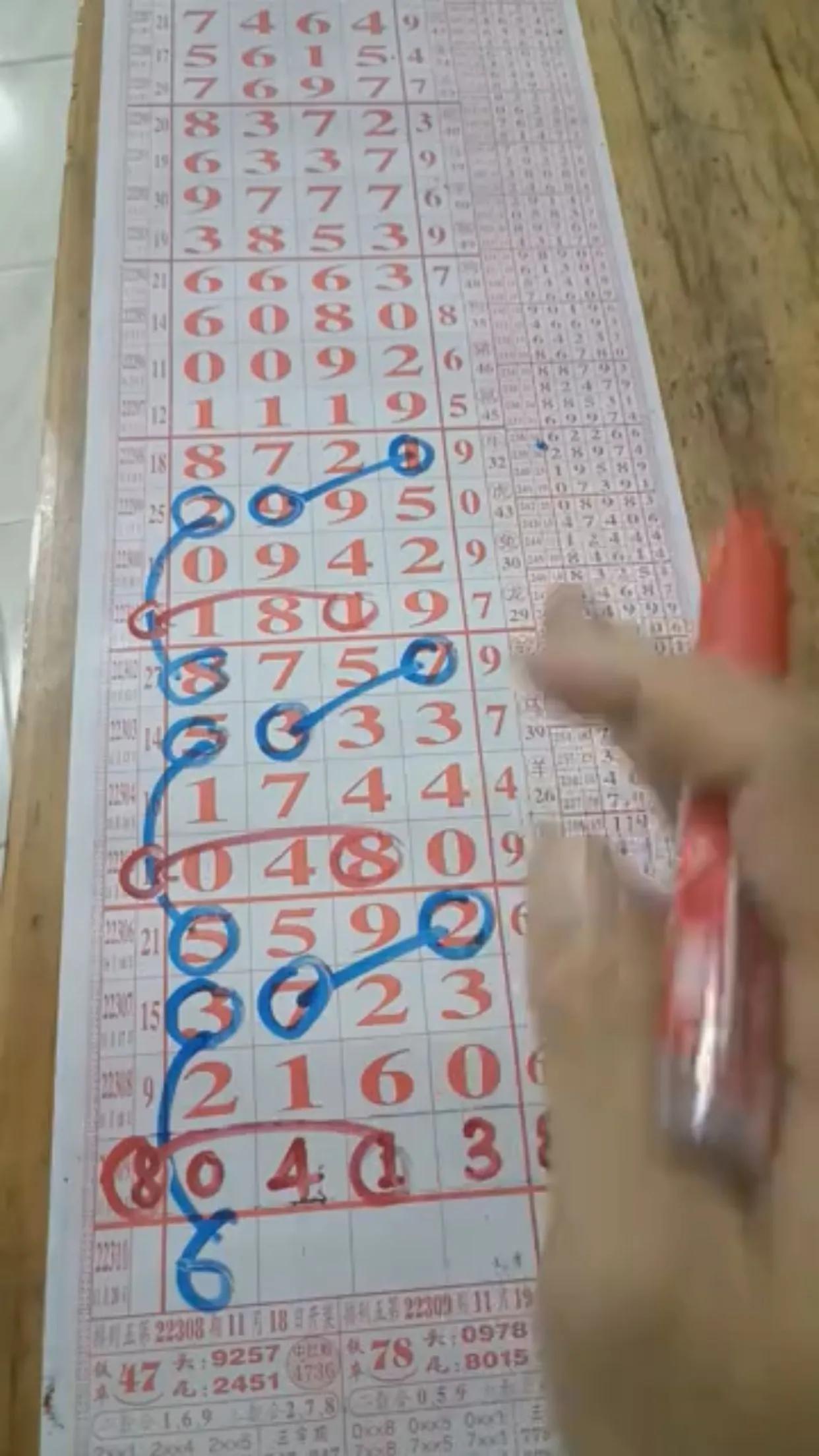 排三开奖号码结果走势图，解码数字背后的奥秘
