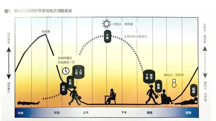 超级大乐透，近100期基本走势深度解析
