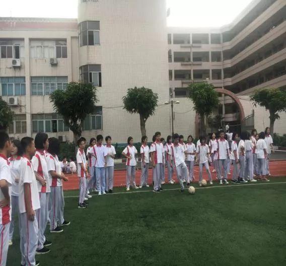 足球比赛回放，重温经典，感悟激情