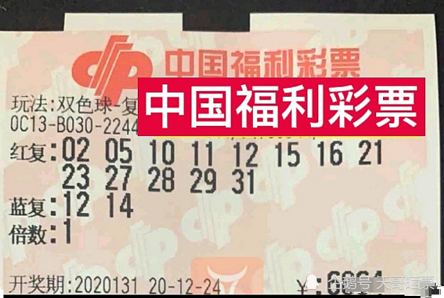2028130期双色球开奖结果揭晓，梦想与幸运的碰撞