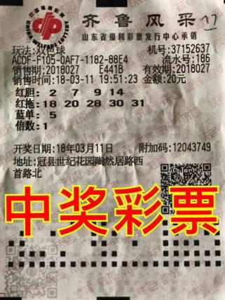 11选五胆拖玩法详细介绍，解锁彩票新境界的秘籍
