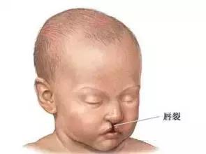 3D彩票今日预测，专家视角下的数字奥秘