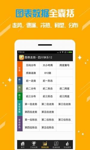 河南11选5开奖结果，揭秘背后的数字游戏与公众期待