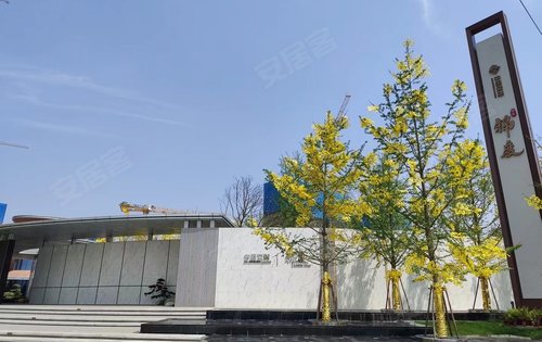 黑龙江体彩中心，公益与梦想的桥梁