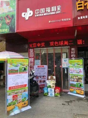 探索中福在线官网，一站式了解中国福利彩票的便捷平台