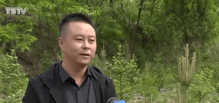 揭秘未来，科学理性对待彩票中奖号码的探讨