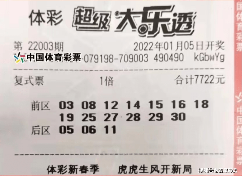 大乐透购买计算器，理性投注的智慧之选