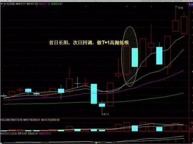 排三2元网走势图，数字游戏中的智慧与策略