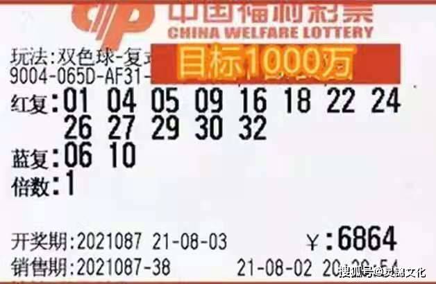 探索双色球复式投注的魅力，最新晒票分享与策略解析