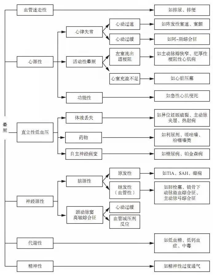 探索双色球2024029240317的神秘之旅，数字背后的故事与希望