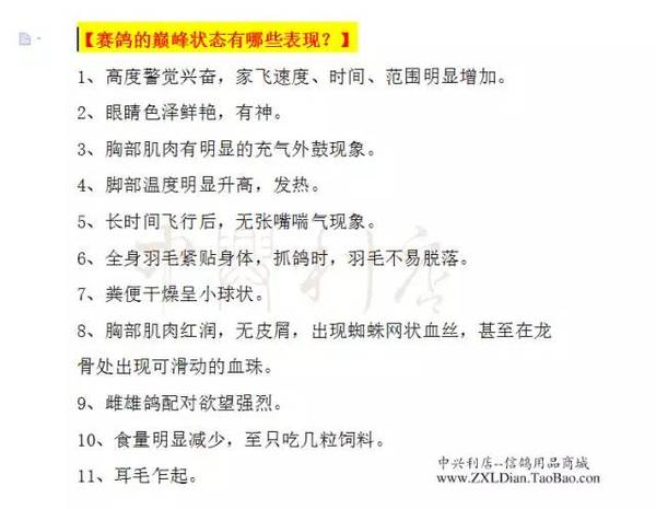 揭秘北单比分，澳客平台的深度解析与实战指南