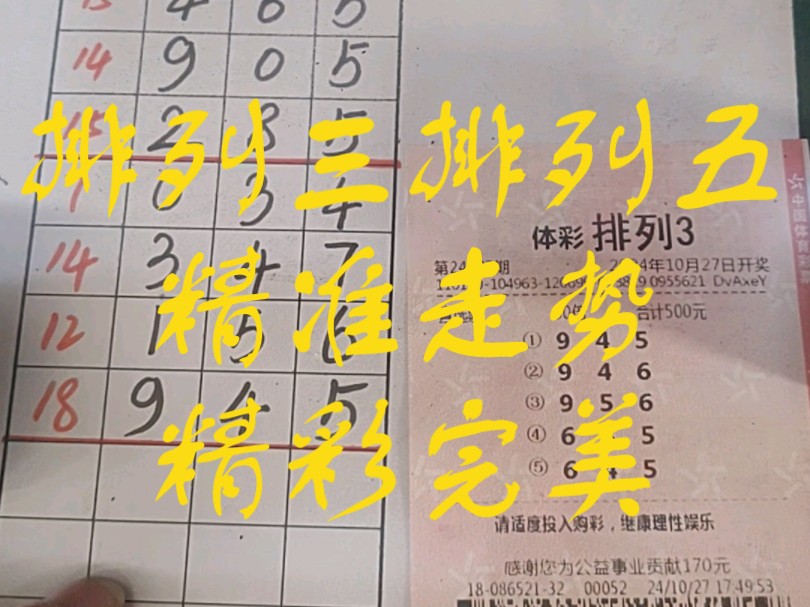 排列三精准预测，专家推荐策略揭秘