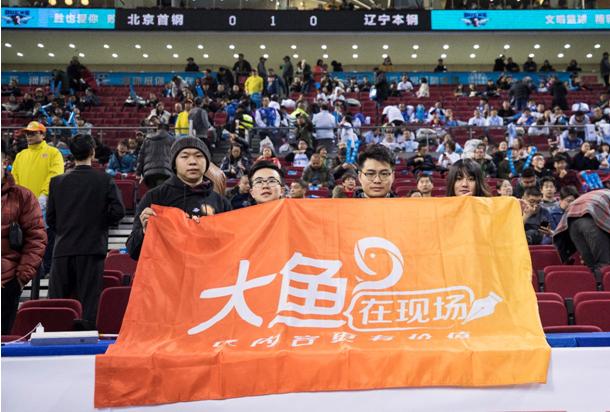 足球激情，90分钟直播比分的魅力与意义