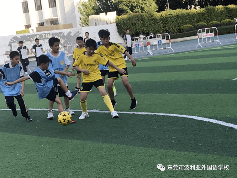 今日全球足球赛事时间表，激情与梦想的碰撞