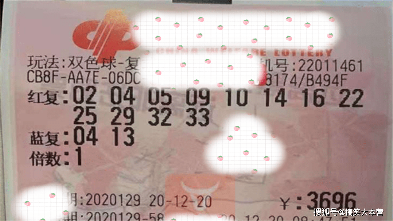2019年016期双色球开奖结果深度解析与回顾