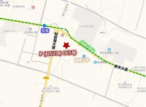 2021年065期双色球开奖结果揭晓，梦想与幸运的碰撞