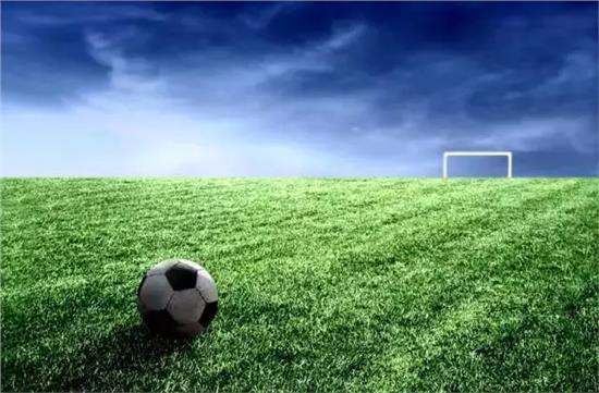 2030年世界杯，梦想与现实的交响曲——预测与展望