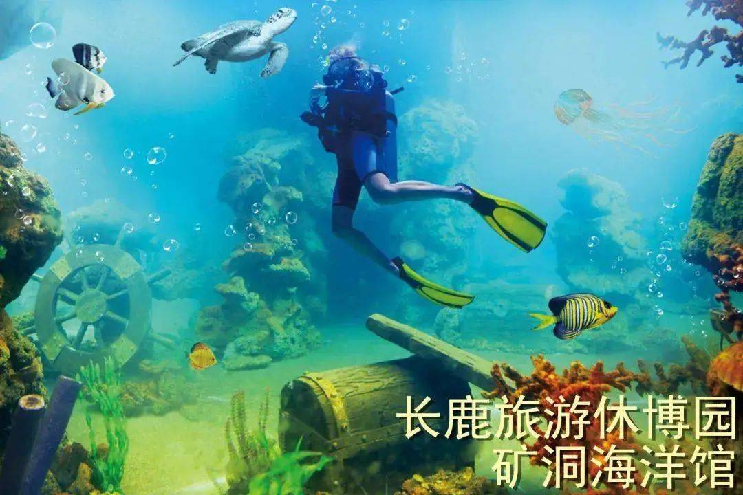 数字3的奇妙之旅，从抽象到具象的视觉盛宴