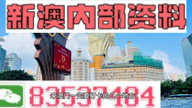 澳门理财婆，免费资料详解与智慧理财指南