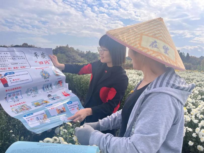 安徽福彩15选5，透视数字背后的走势与策略