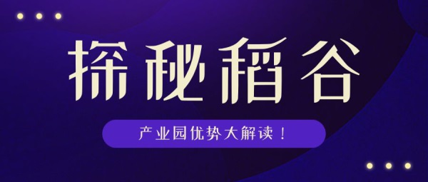 探索未来彩票的魅力，三D开奖新浪现场直播的深度解析