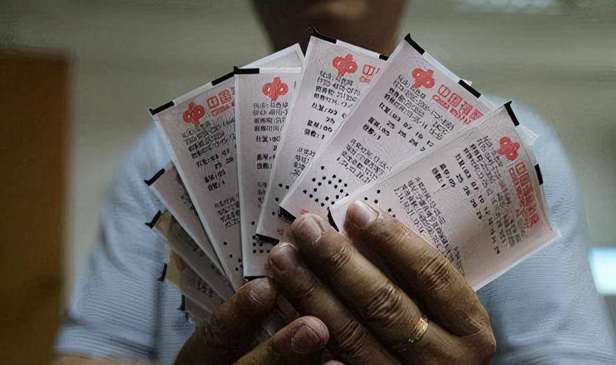 彩票投注网站，数字游戏中的希望与风险