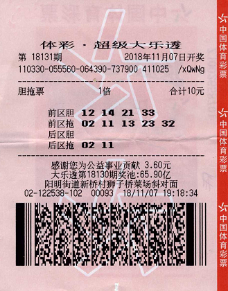 浙江风采网大乐透走势图超长版，深度解析与投注策略