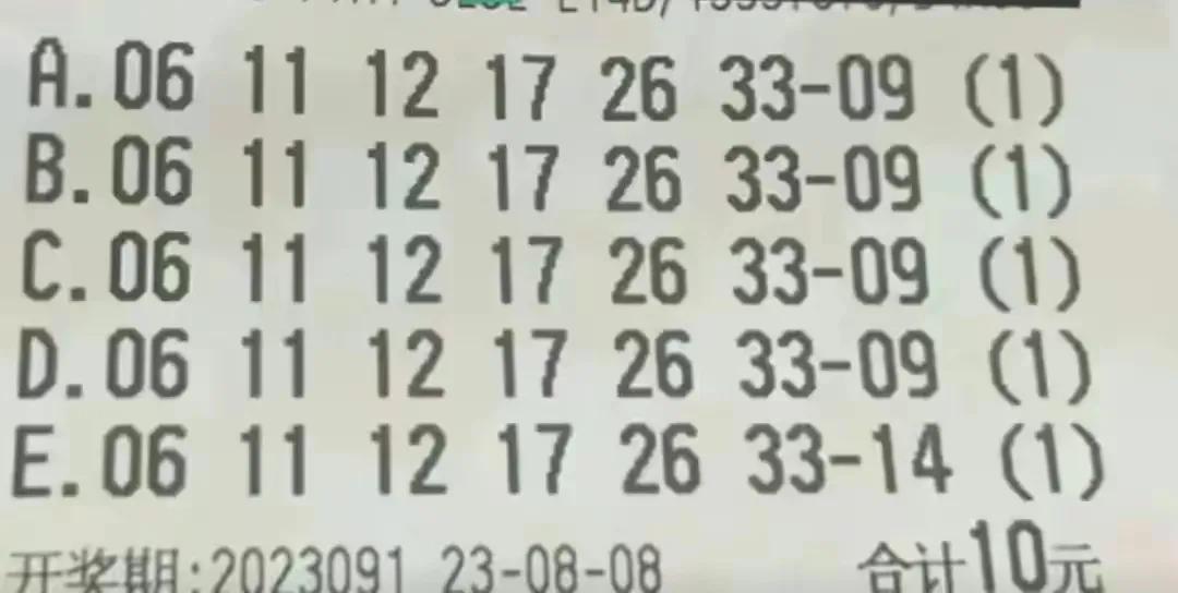 探索上海福彩双色球，开奖查询的奥秘与乐趣