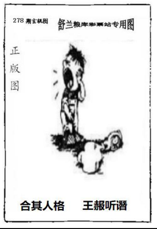 舒兰粮库福彩3D专用玄机图，揭秘与警示