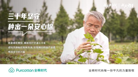 中国棉花信息网轮出结果，透视棉花市场新动向与农民增收希望
