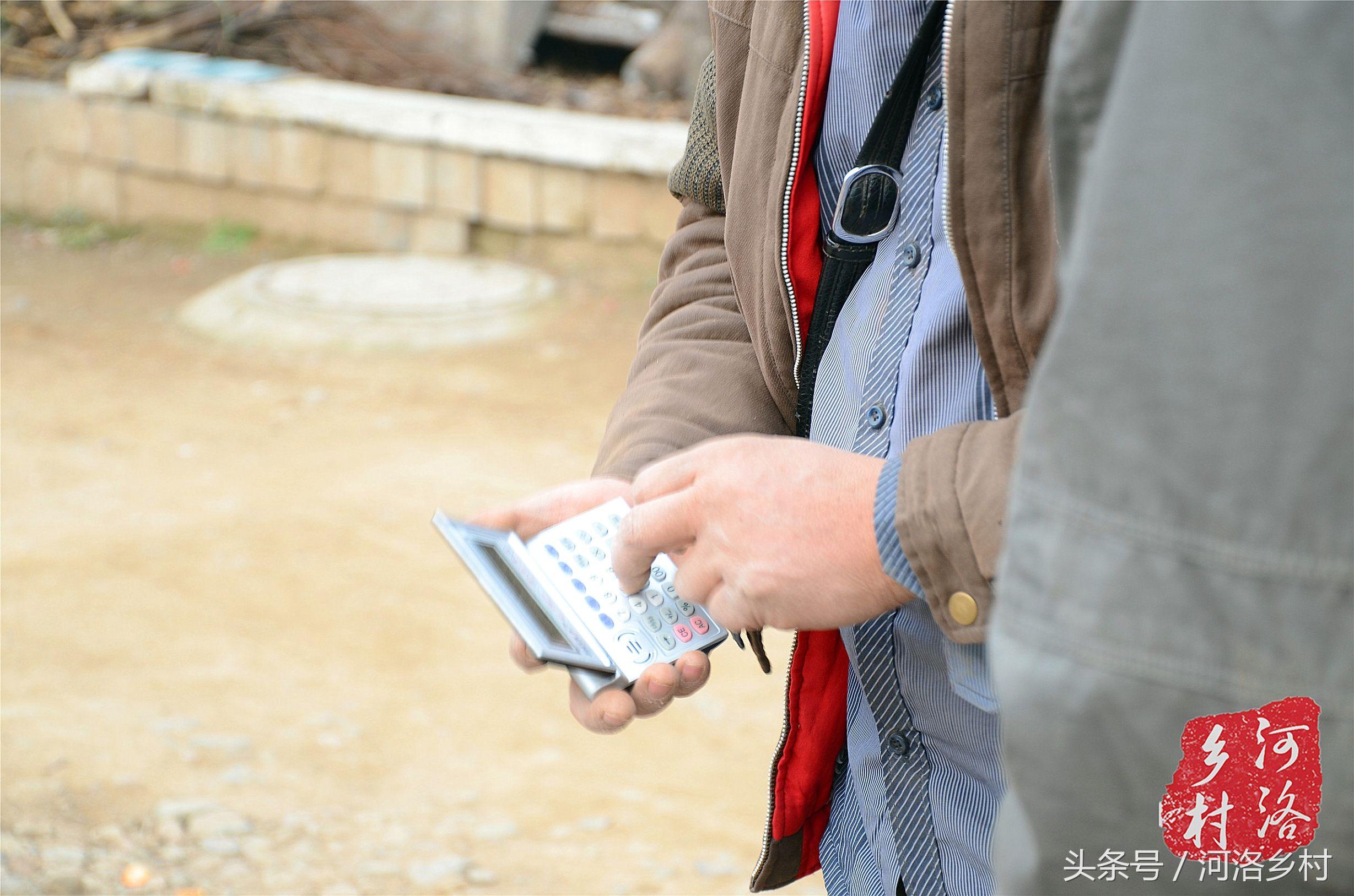 探索中国花生信息网与花生之家网，打造花生产业新生态