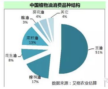 食用油信息网，中国棉籽油市场的深度解析