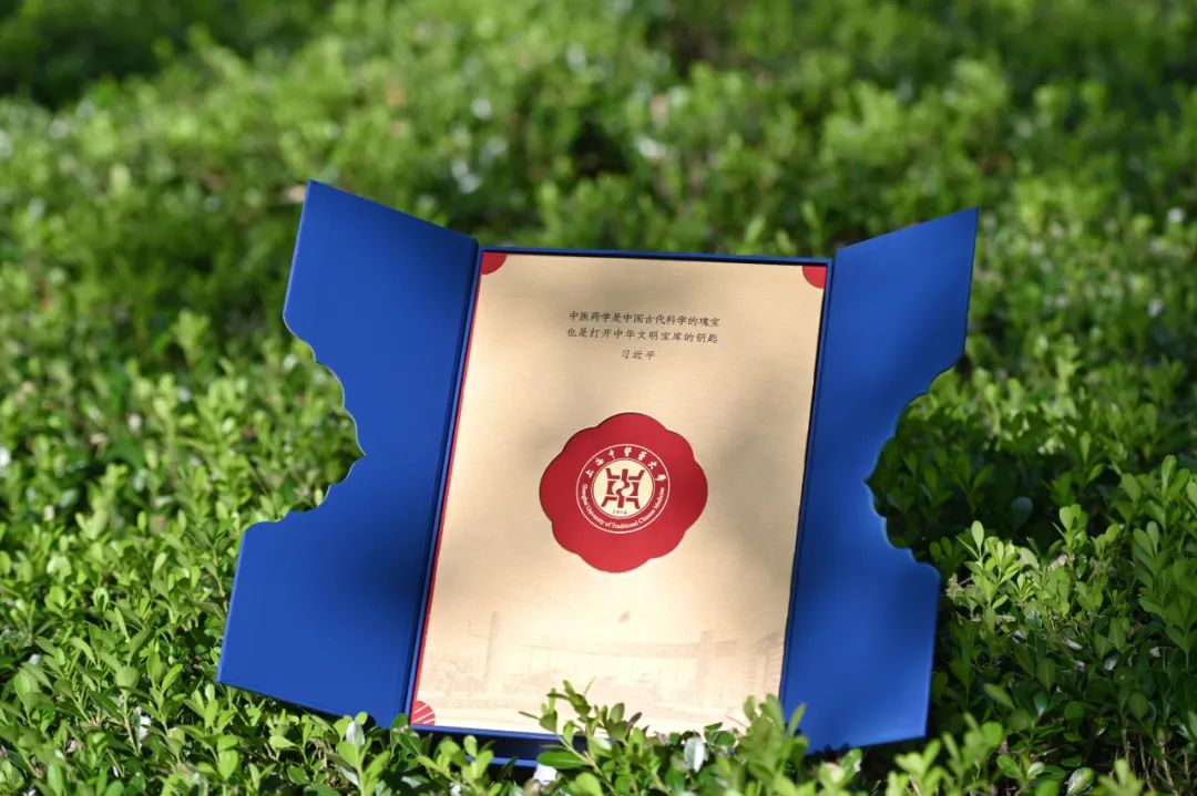探索中药宝库，中药材查询网——您的智慧健康导航