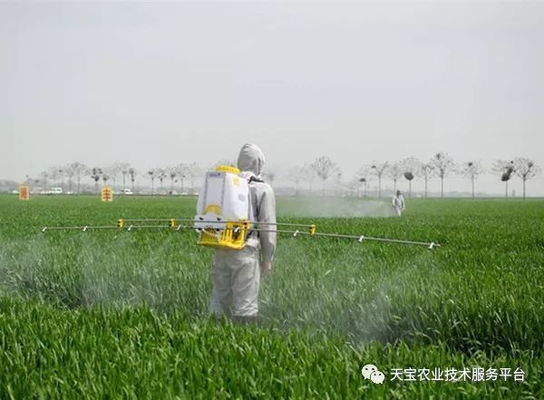 农药信息，从生产到使用的全面解析