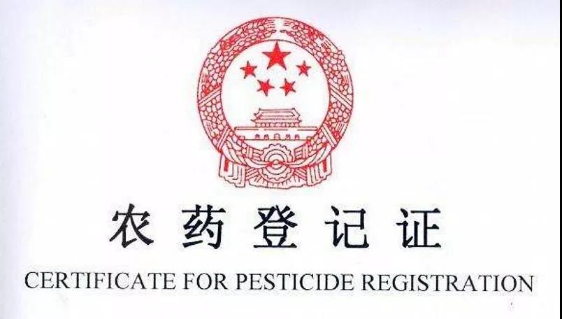探索中国农药登记信息网官网，保障农业安全与生态平衡的数字平台