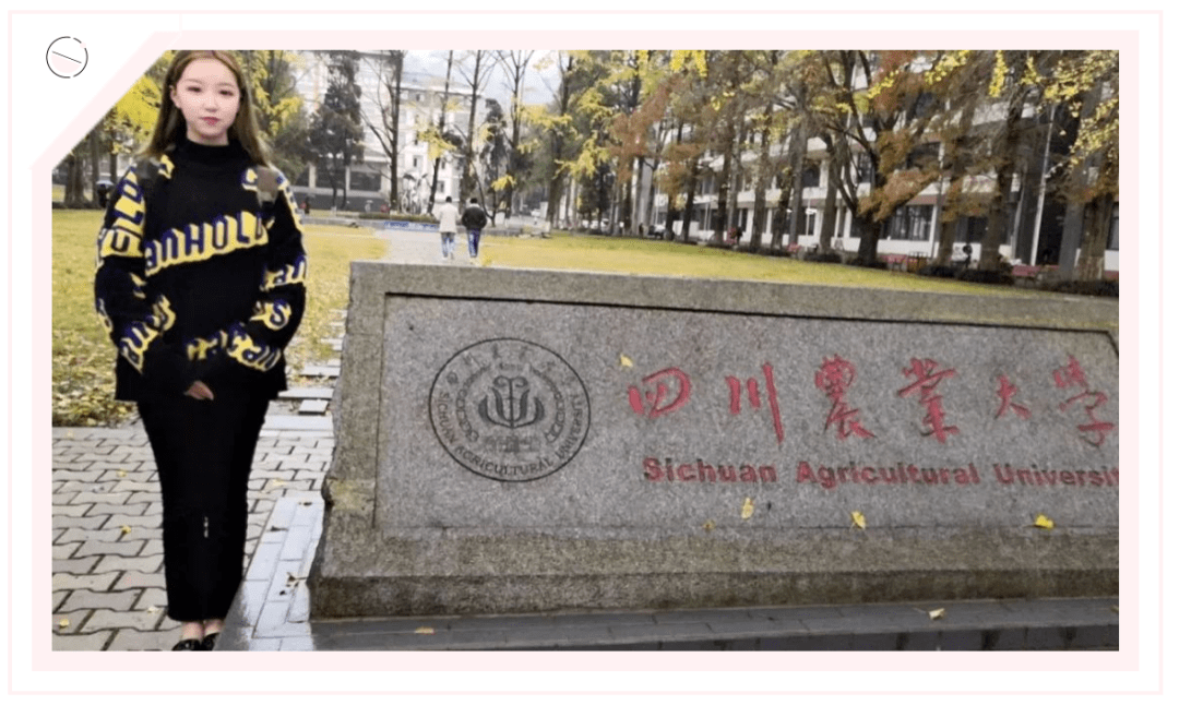 成都造价信息网，建筑行业的智慧导航
