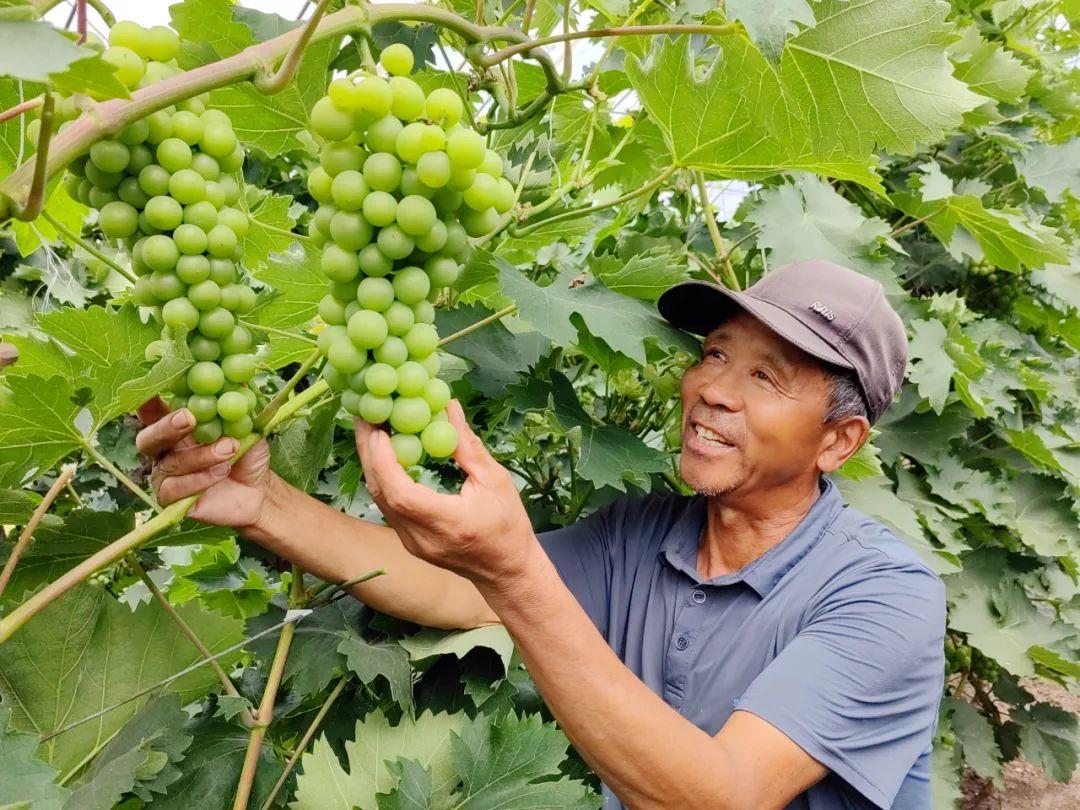 宁安信息网与百姓网，构建数字化生活新桥梁