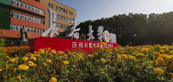 解锁会计新征程，山东会计信息网官网初级报名入口全攻略