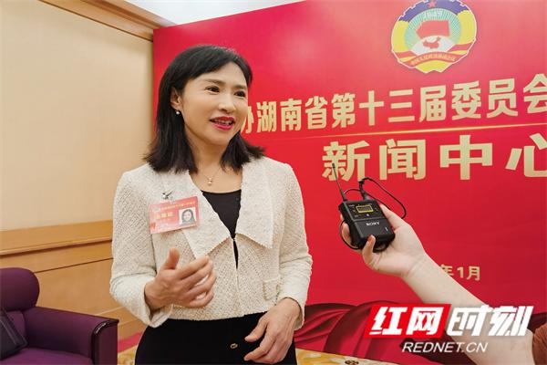 湖南粮油信息网，构建智慧粮油新生态的桥梁
