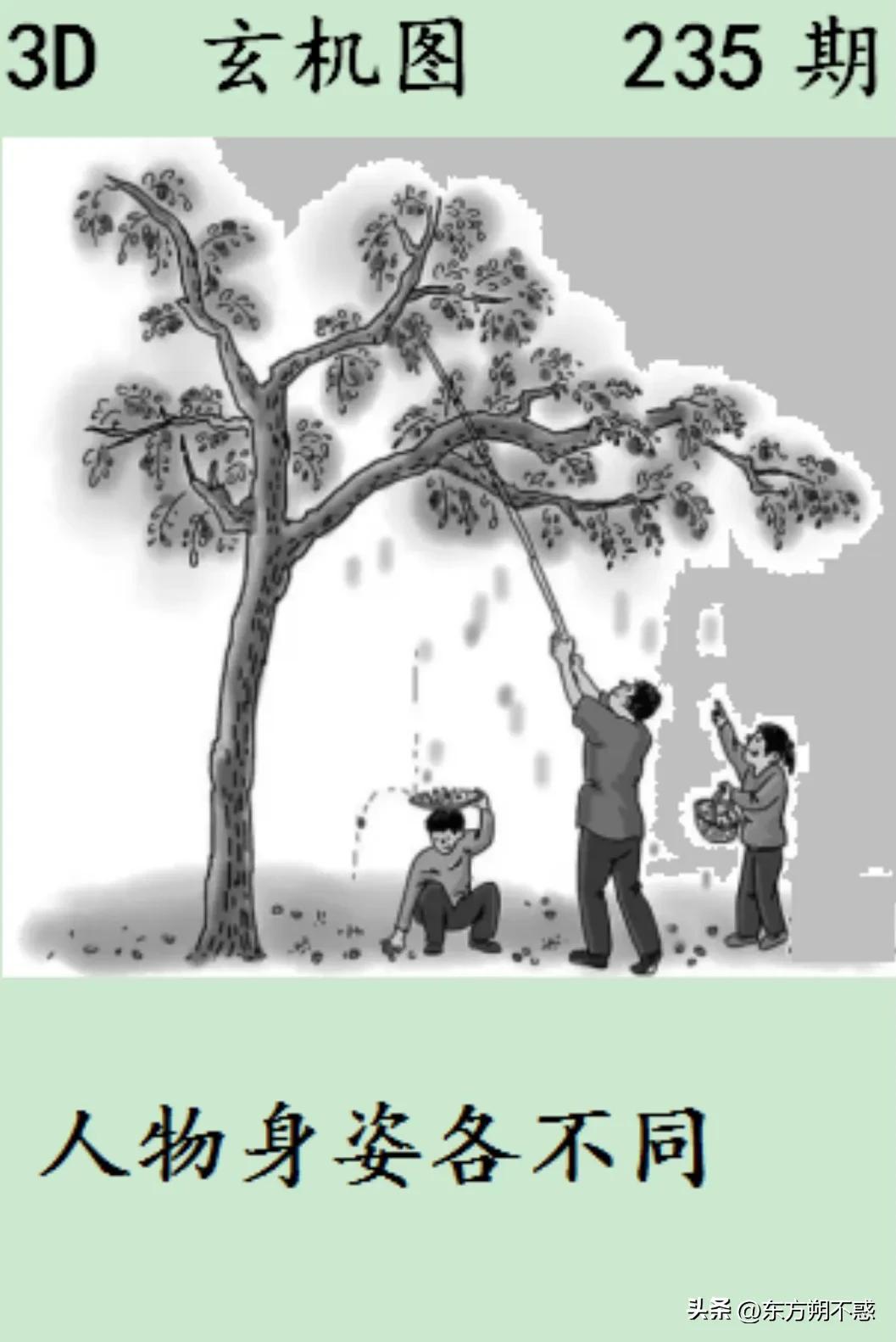 探寻三地字谜的奥秘，一场智慧与趣味的盛宴