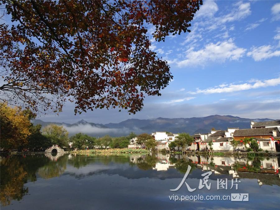 安徽11选五，揭秘奖金背后的奥秘