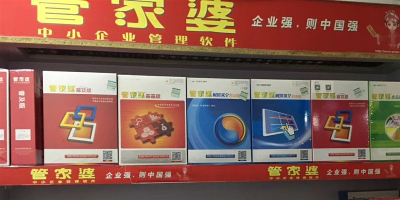 管家婆王中王，重塑企业管理的智慧之选
